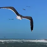 Villa L\'Oiseau Bleu